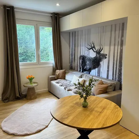 Apartman Le Grand Cerf *